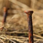 Zrezivělý hřebík v zapomenutém pražci na kraji pole.