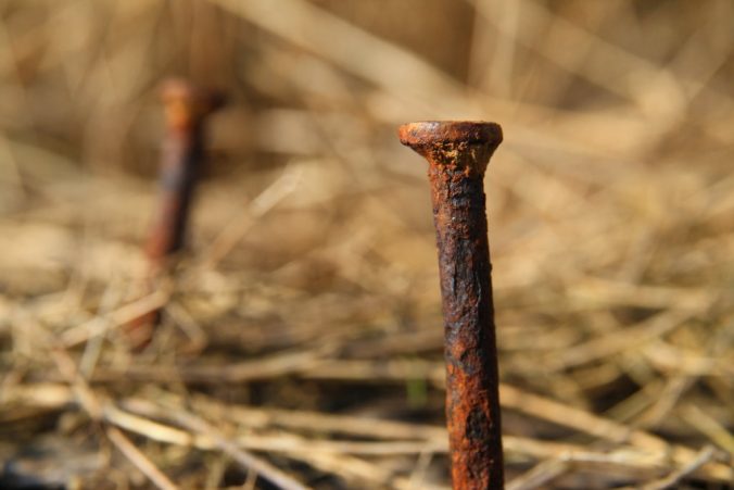 Zrezivělý hřebík v zapomenutém pražci na kraji pole.