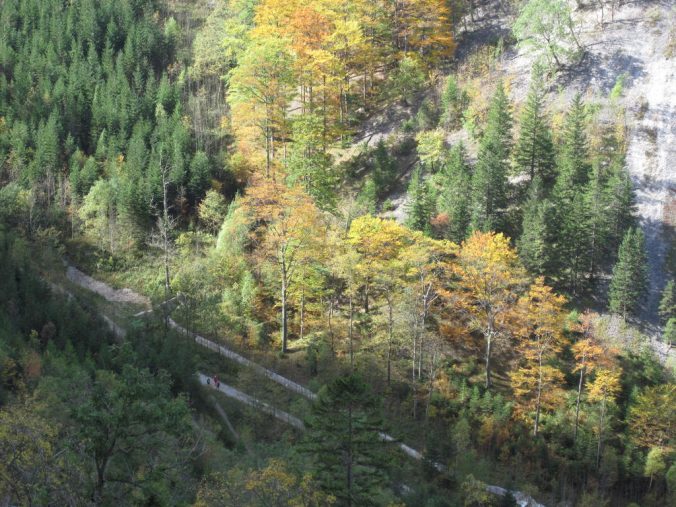 Pohled do údolí prokvetlého podzimem.