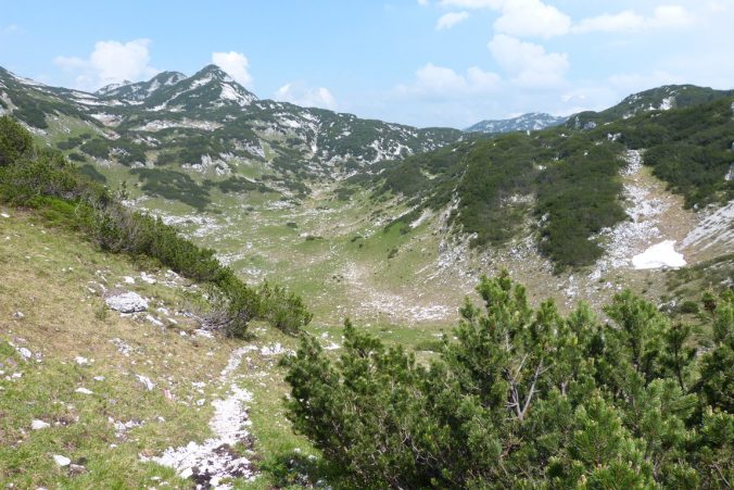 Jižní výběžky Totes Gebirge jsou plné vegetace.