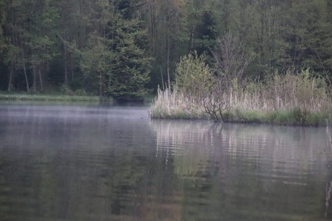 Nad rybník se zvedá mlha.