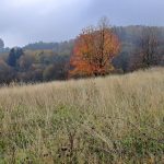 Podzimní krajina u Pulčína.