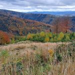 Podzimně zbarvené kopce.